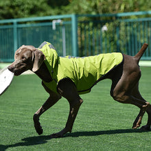 Load image into Gallery viewer, Safety Wear For your Pet!! Reflective Jacket for Dog.  Waterproof. Small, Medium, Large.
