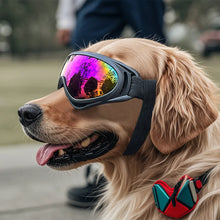 將圖片載入圖庫檢視器 Eyewear: FOR YOUR DOG: Sunglasses Adjustable UV Protection. Adjustable Band.
